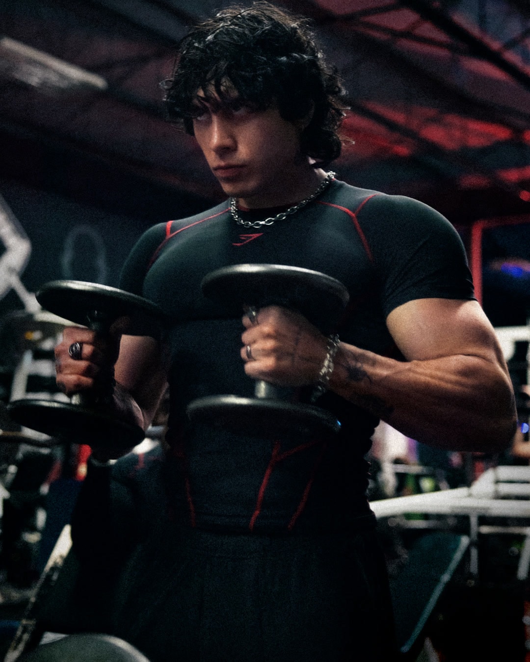 VISTE VENGEANCE